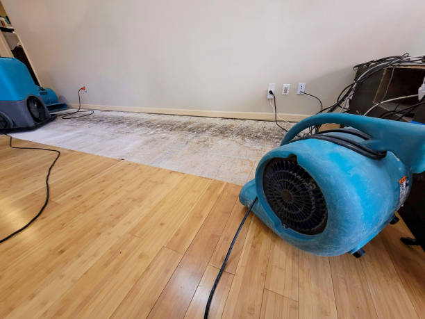 Professional Sewage Cleanup technician working in Roselle, IL